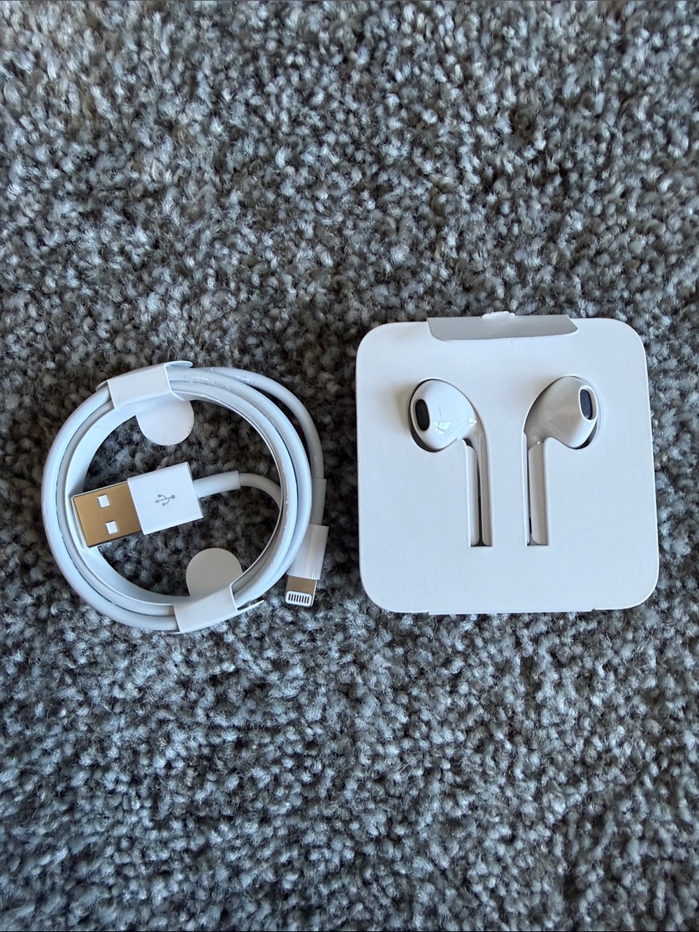 Apple Lightning Earbuds and Lightning to USB Cable